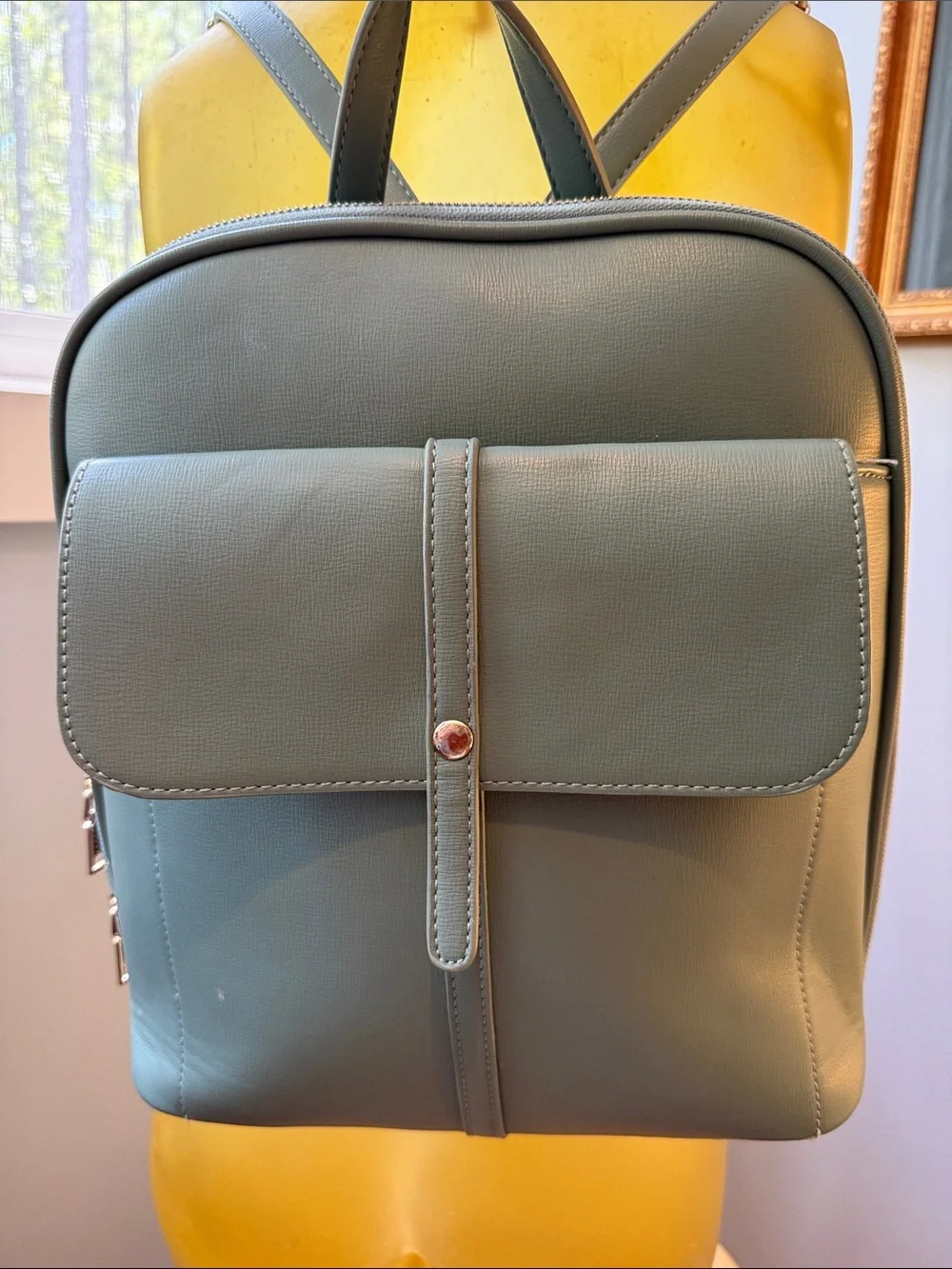 Miztique Sage Green Faux Leather Backpack